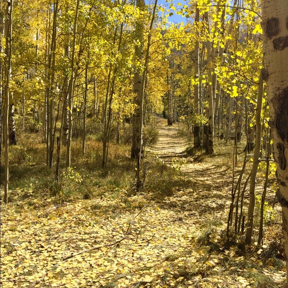 Meet your Posher, Kim - Picture 1 of 1